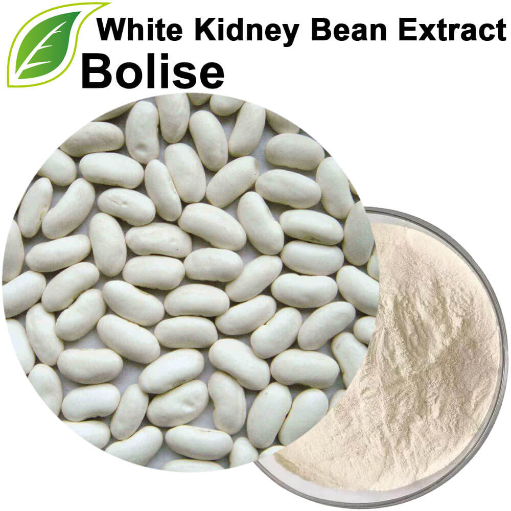 White Kidney Bean Extract
