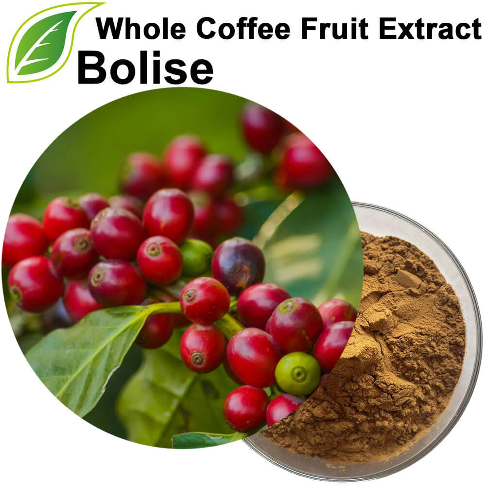 Whole Coffee Fruit Extract Powder