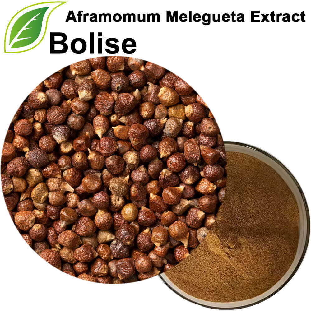 Aframomum Melegueta/Grains of Paradise Extract