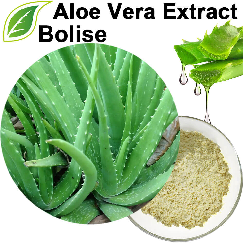 Aloe Vera Extract