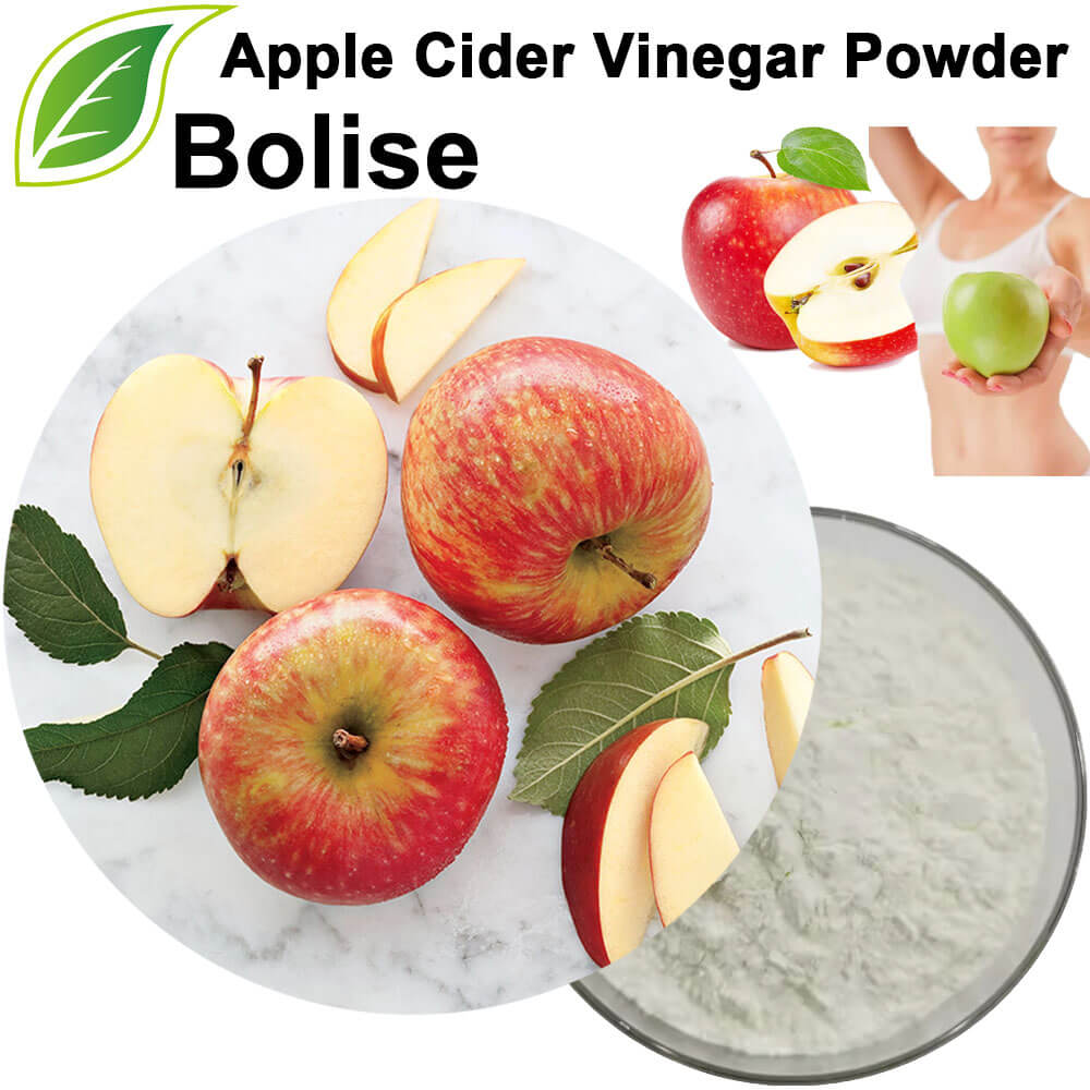 Apple Cider Vinegar Powder Extract