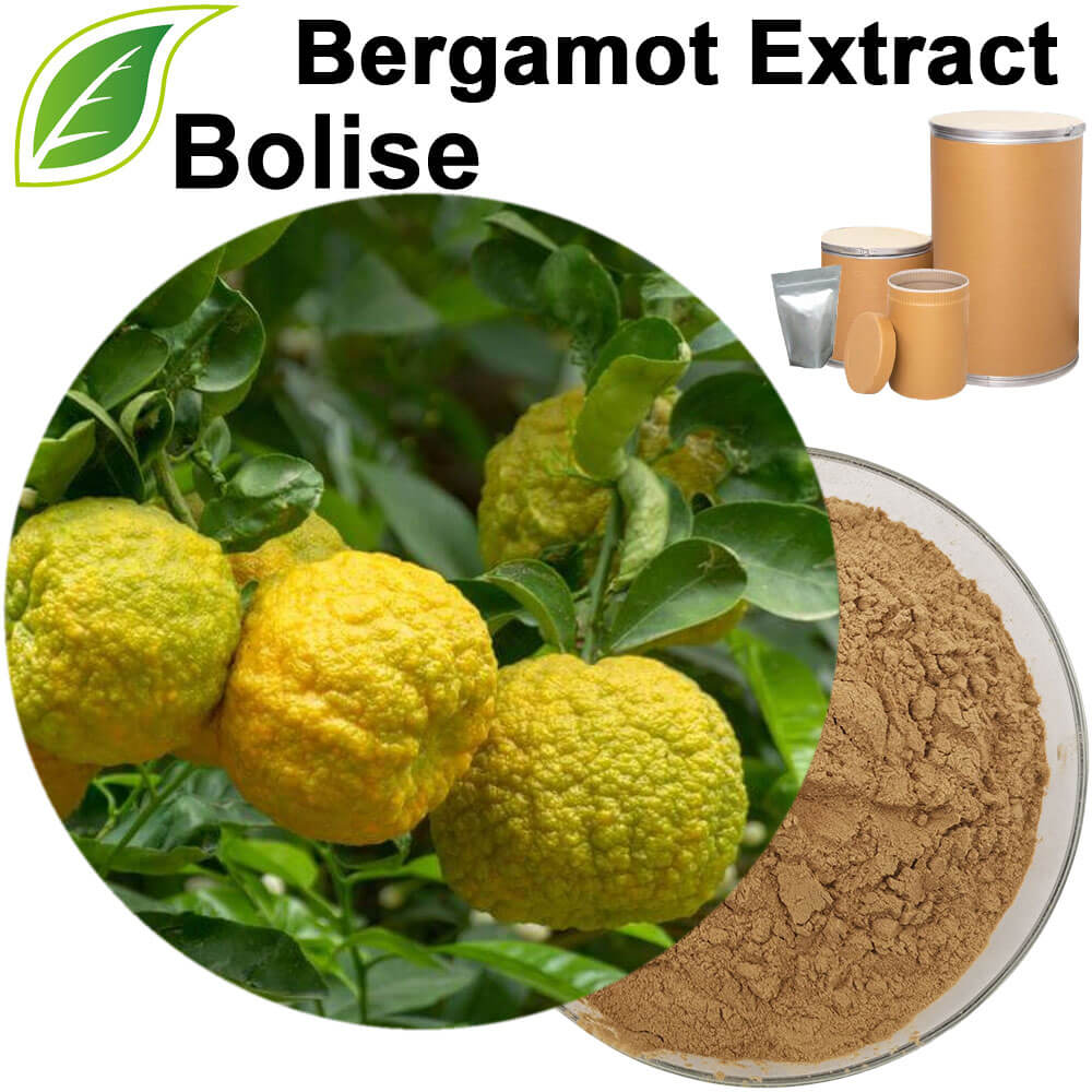 Bergamot Extract(Fingered Citron Extract)