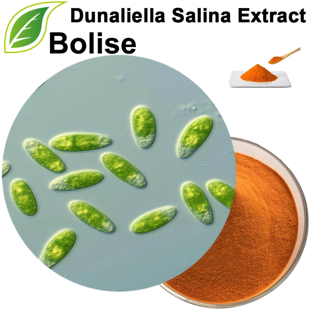 Dunaliella Salina Extract