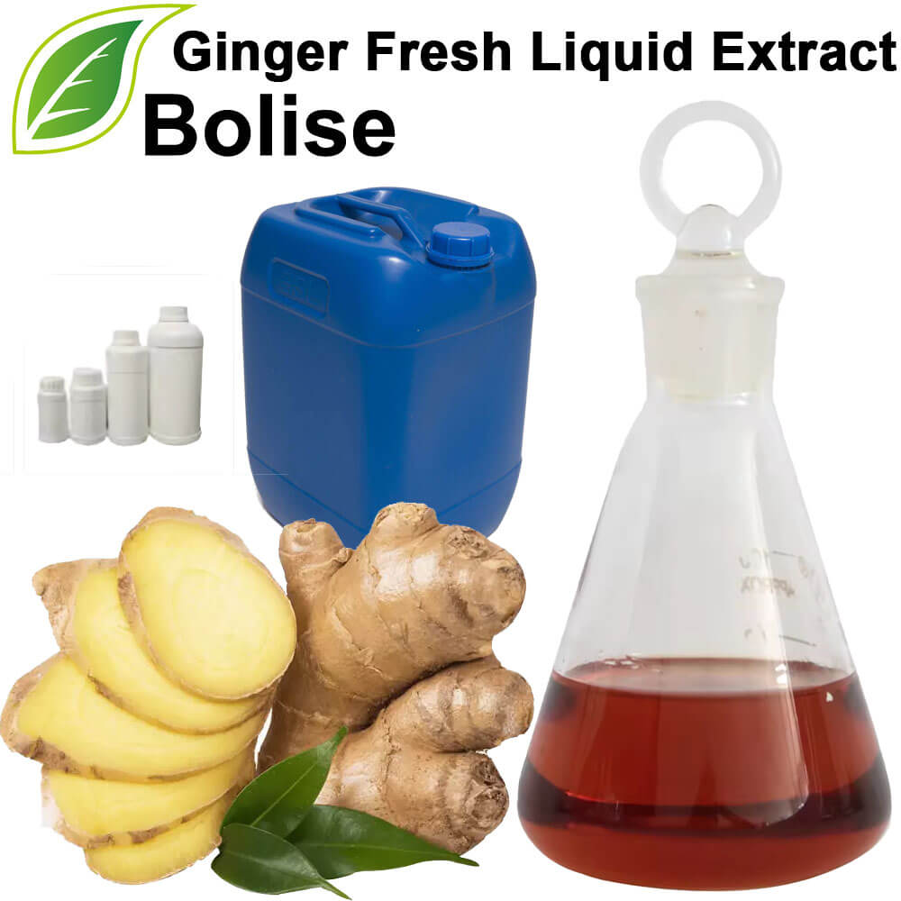 Ginger Fresh Liquid Extract