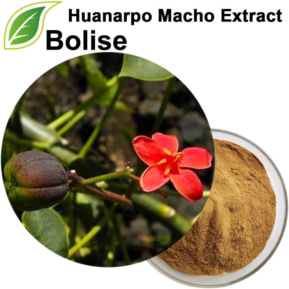 Huanarpo Macho Extract