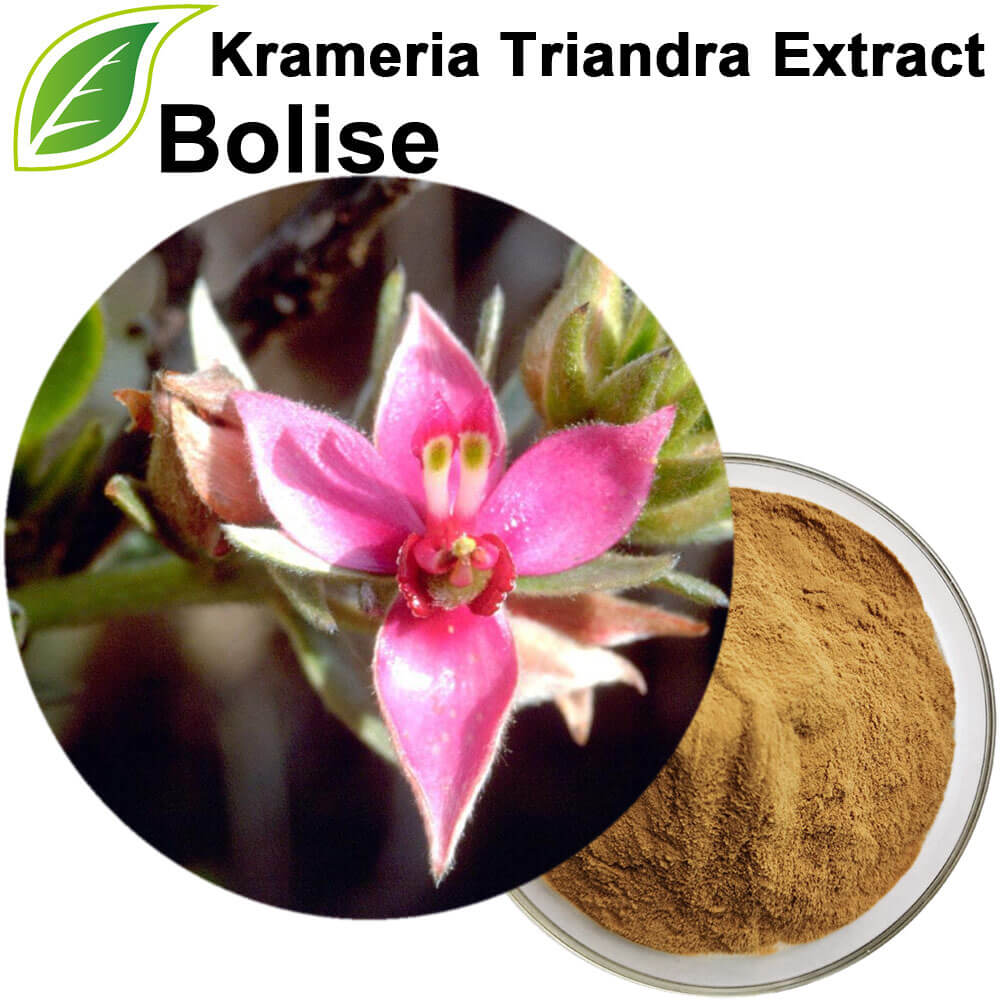 Krameria Triandra Extract(Rhatany Extract)