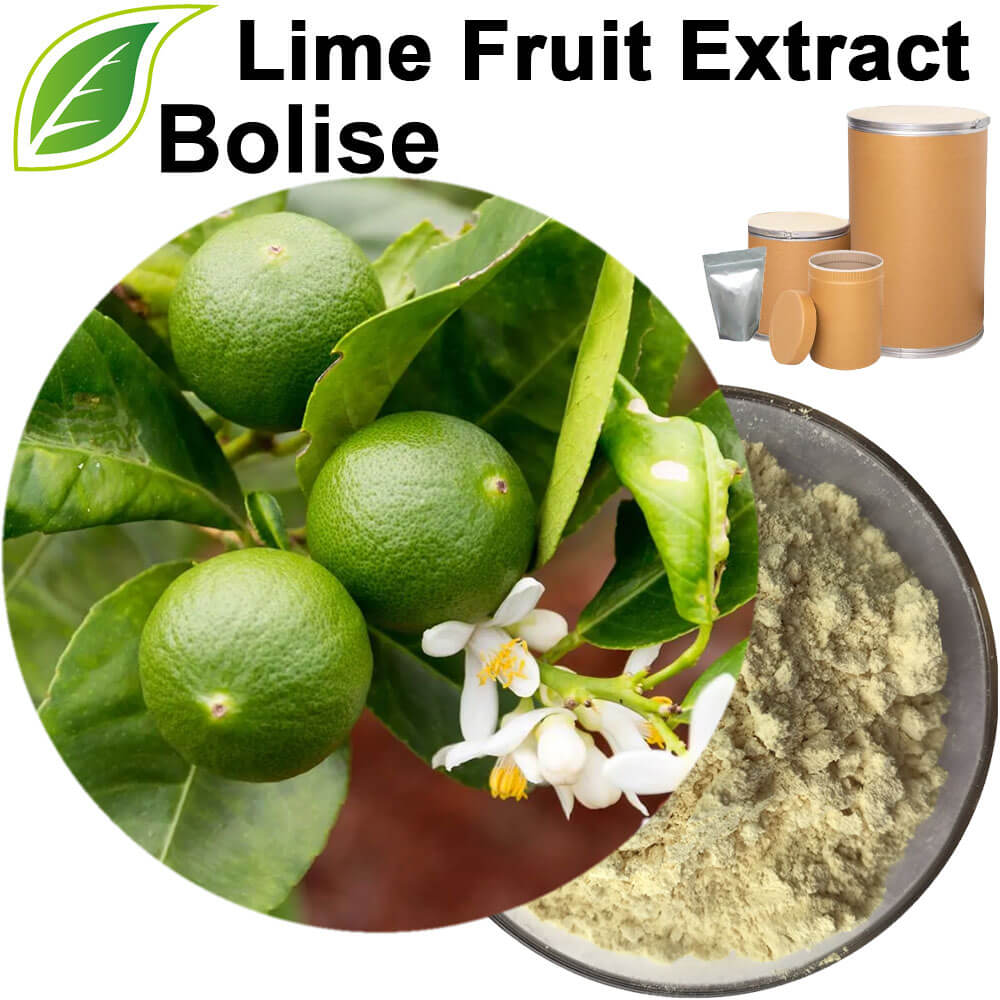 Lime Fruit Extract