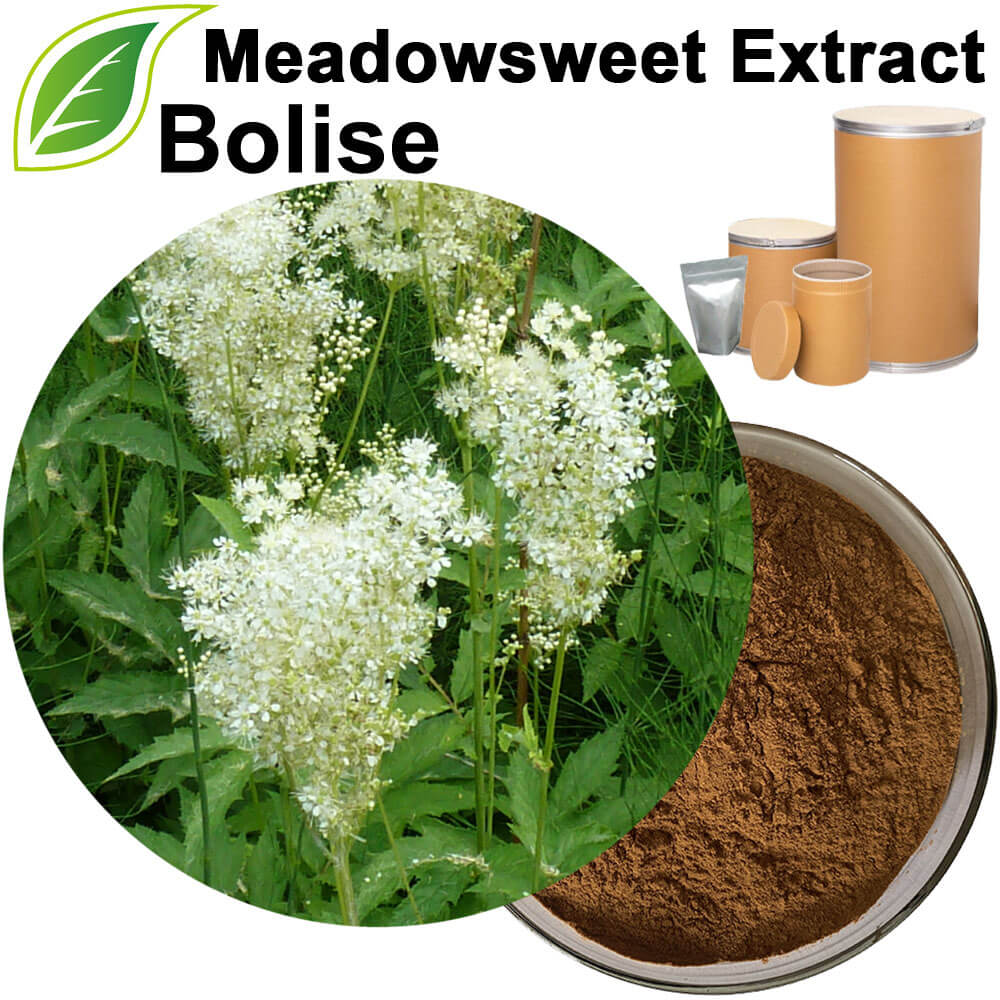 Meadowsweet Extract(Spiraea Ulmaria Extract)