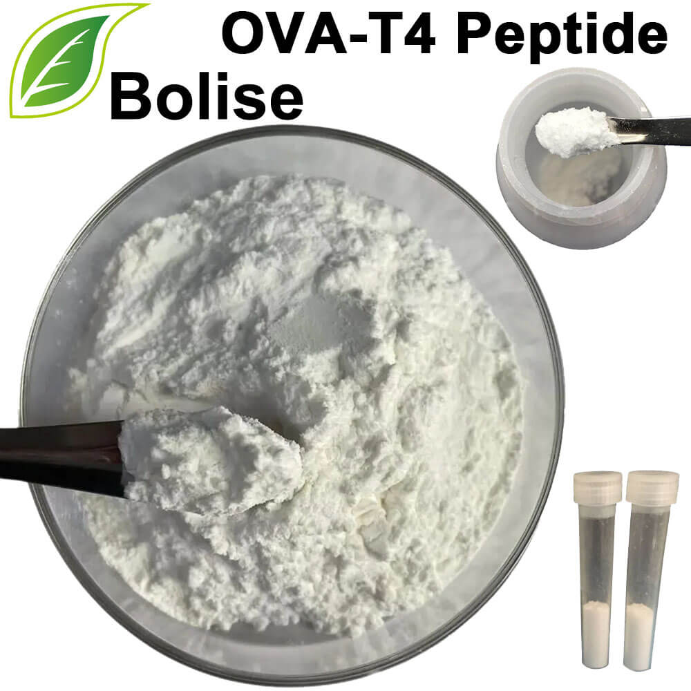 OVA-T4 Peptide