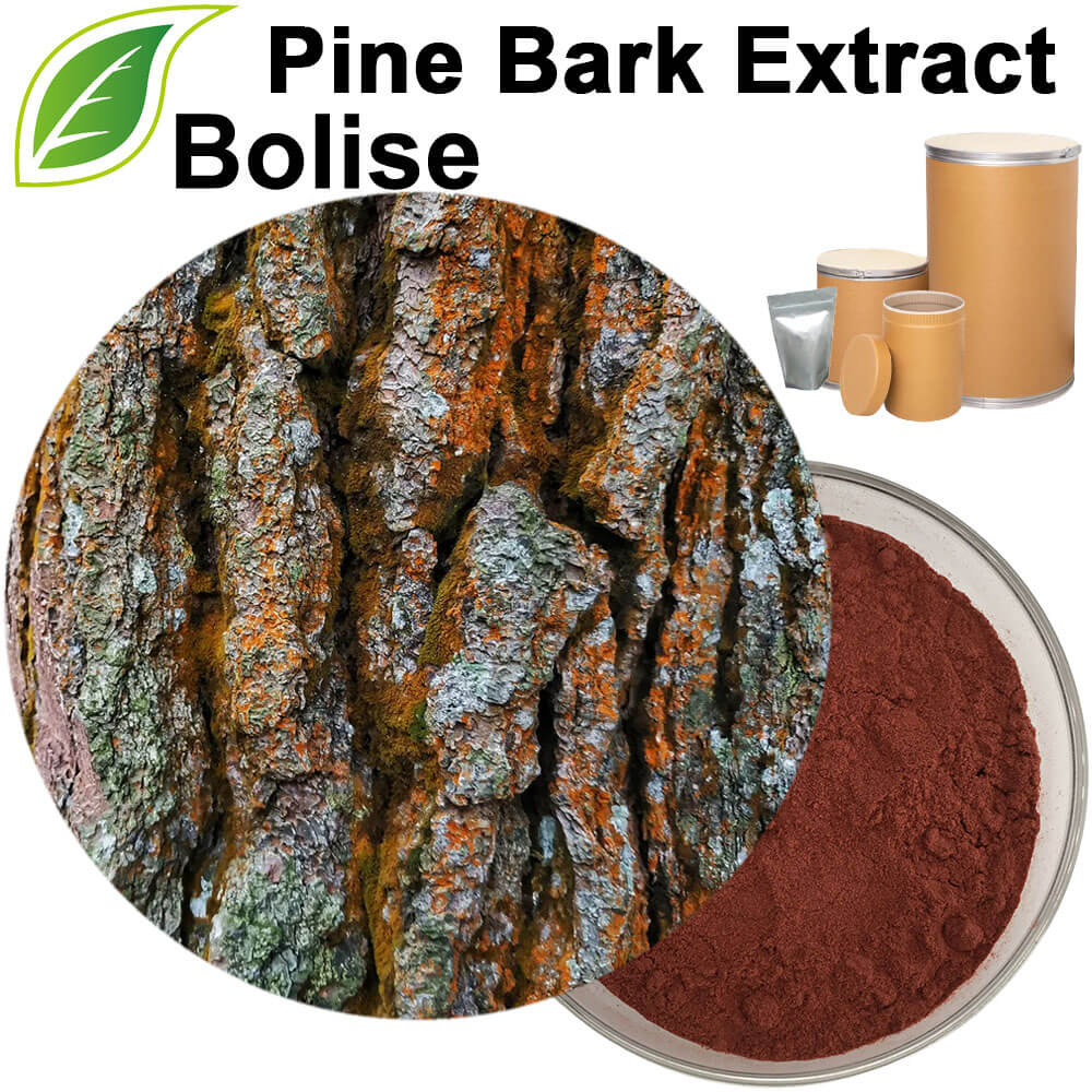 Pine Bark Extract