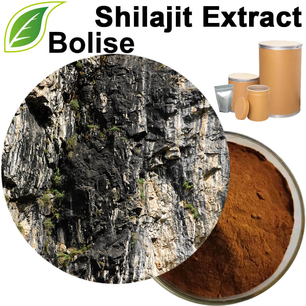 Shilajit (50%+ Fulvic Acid) Extract Powder
