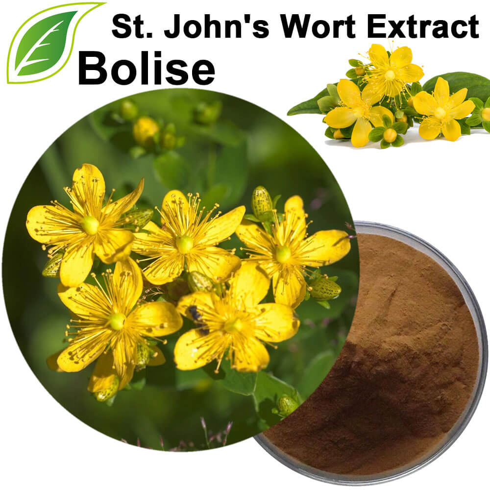 St. John's Wort Extract