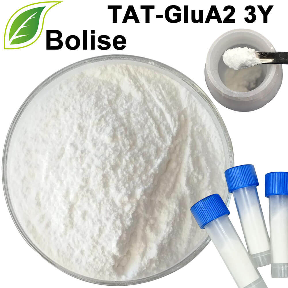 TAT-GluA2 3Y