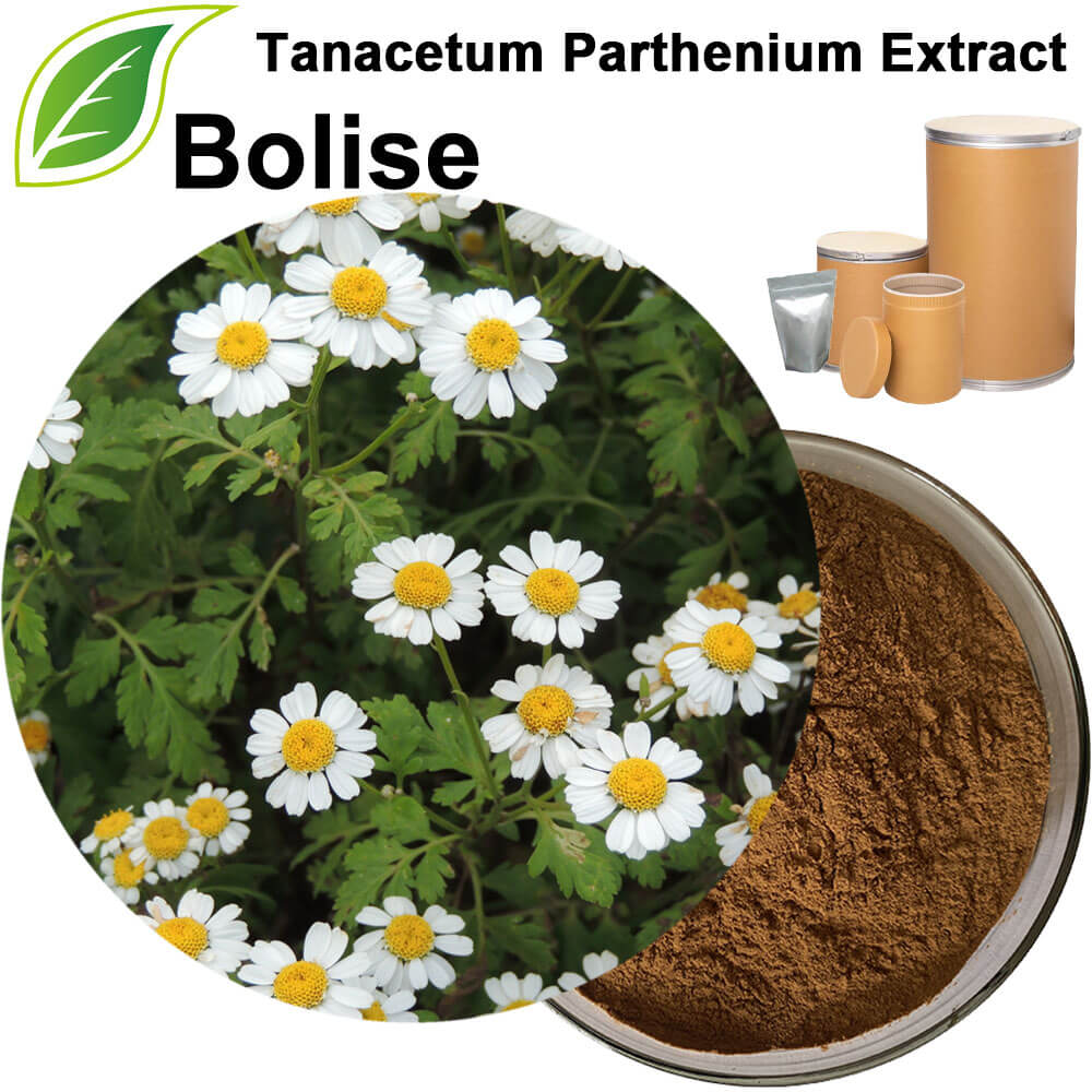 Tanacetum Parthenium Extract