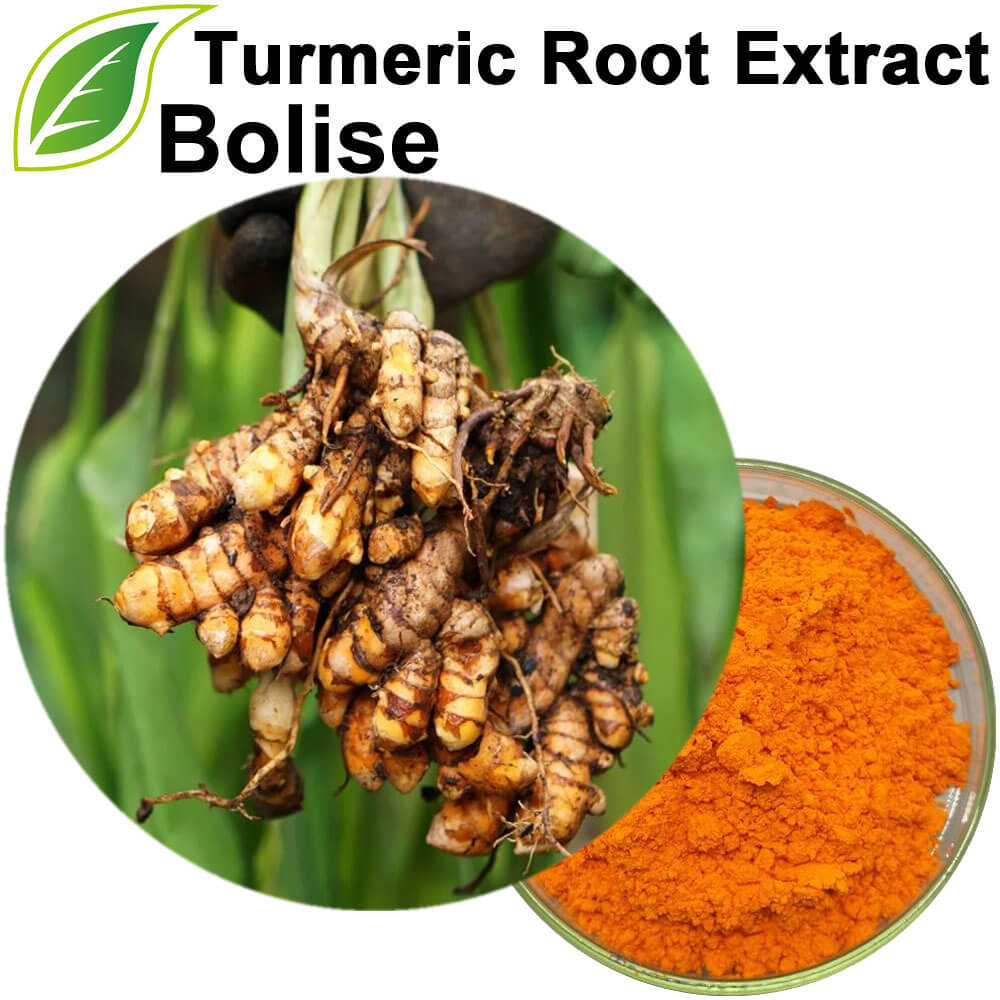 Turmeric Root Extract