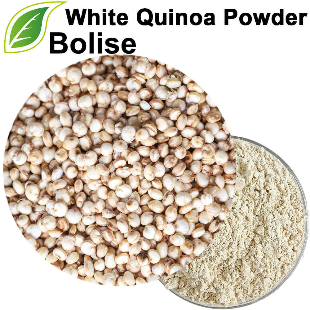 White Quinoa Powder