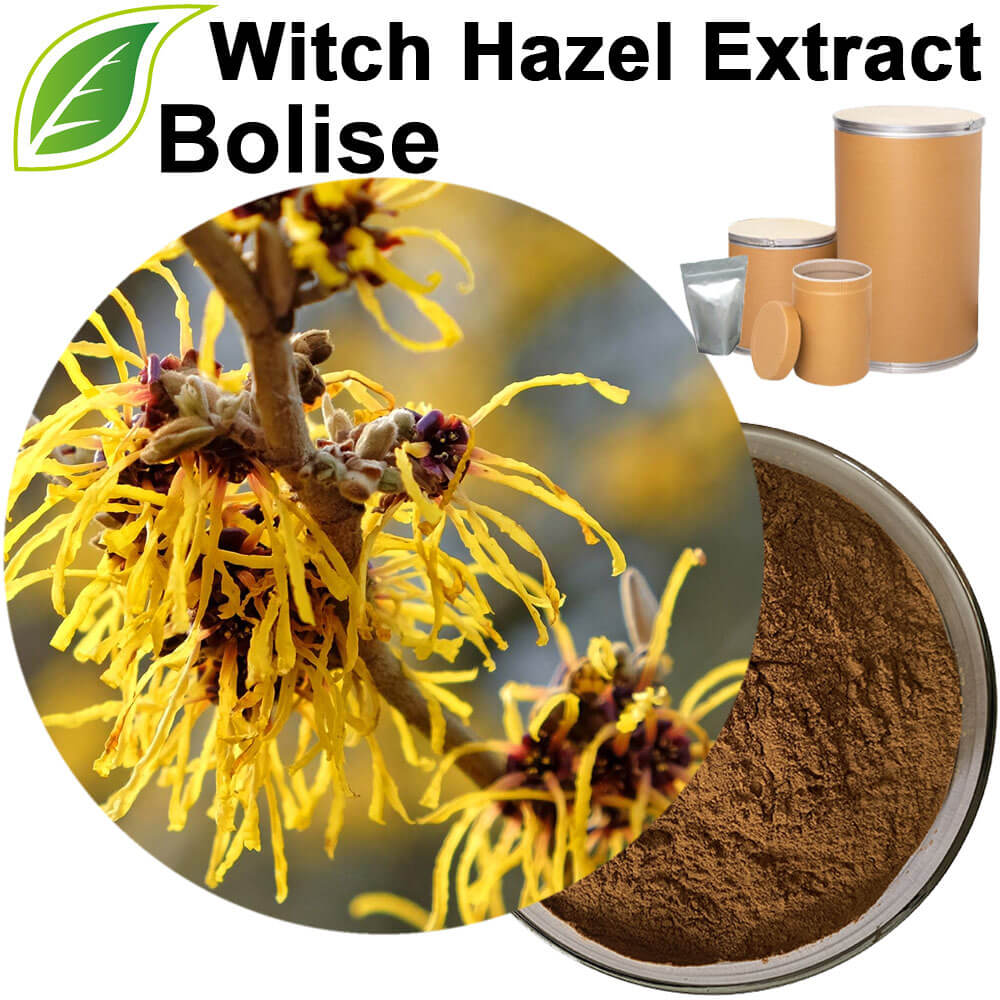 Hamamelis Virginiana Extract(Witch Hazel Extract)