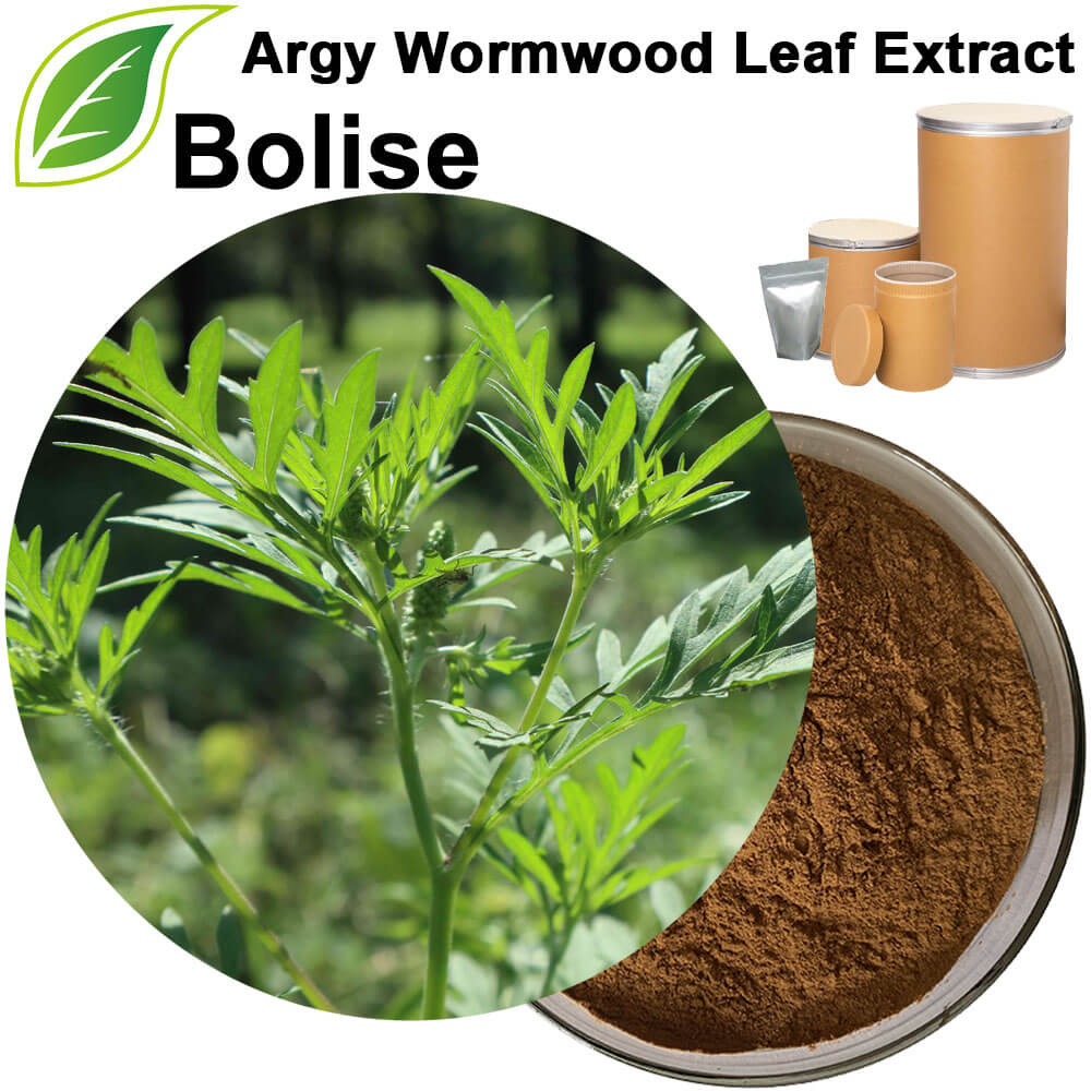 Argy Wormwood Leaf Extract(Folium Artemisiae Argyi Extract)