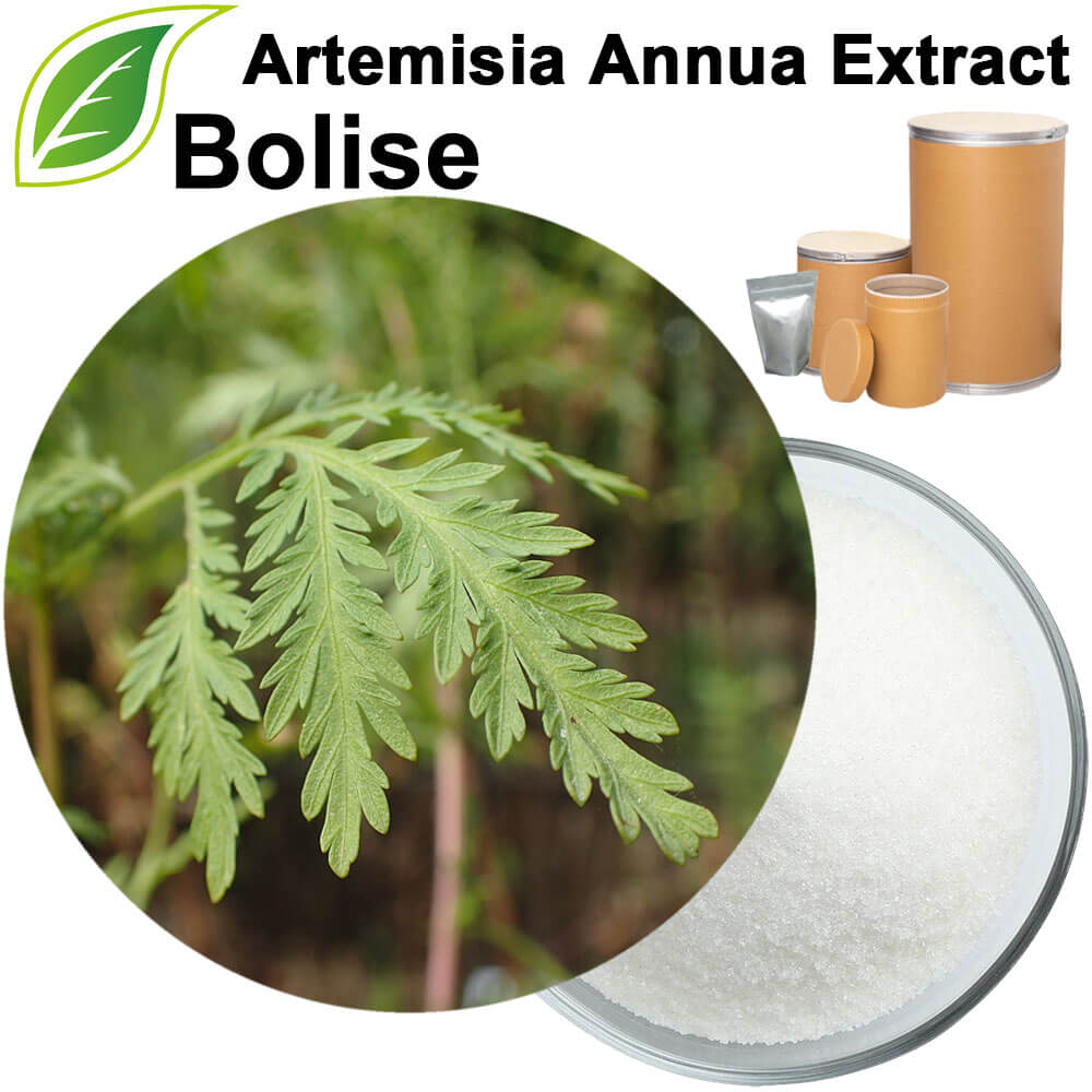 Artemisia Annua Extract