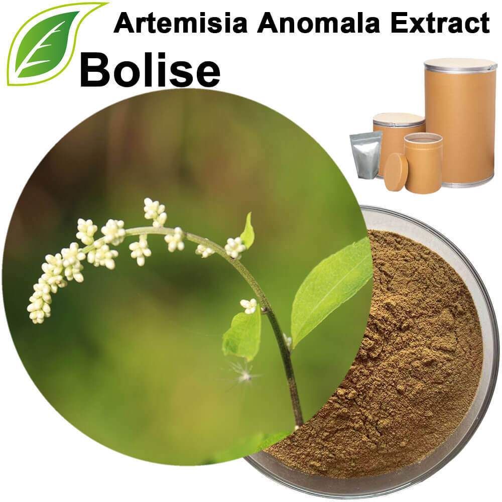 Artemisia Anomala Extract