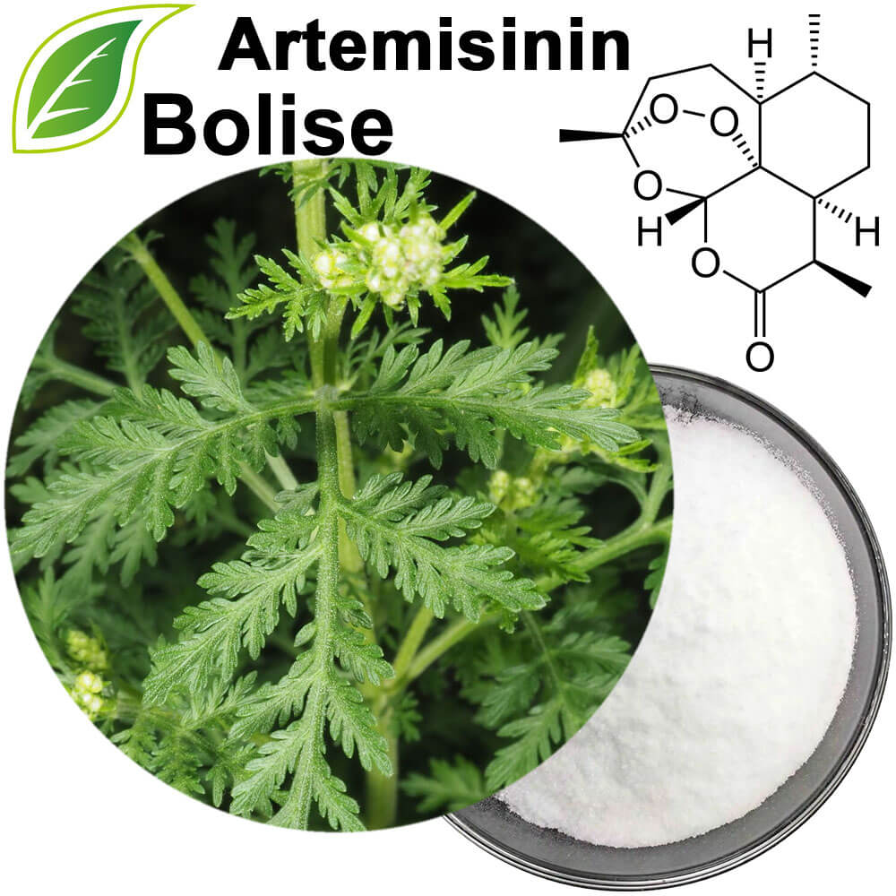 Artemisinin