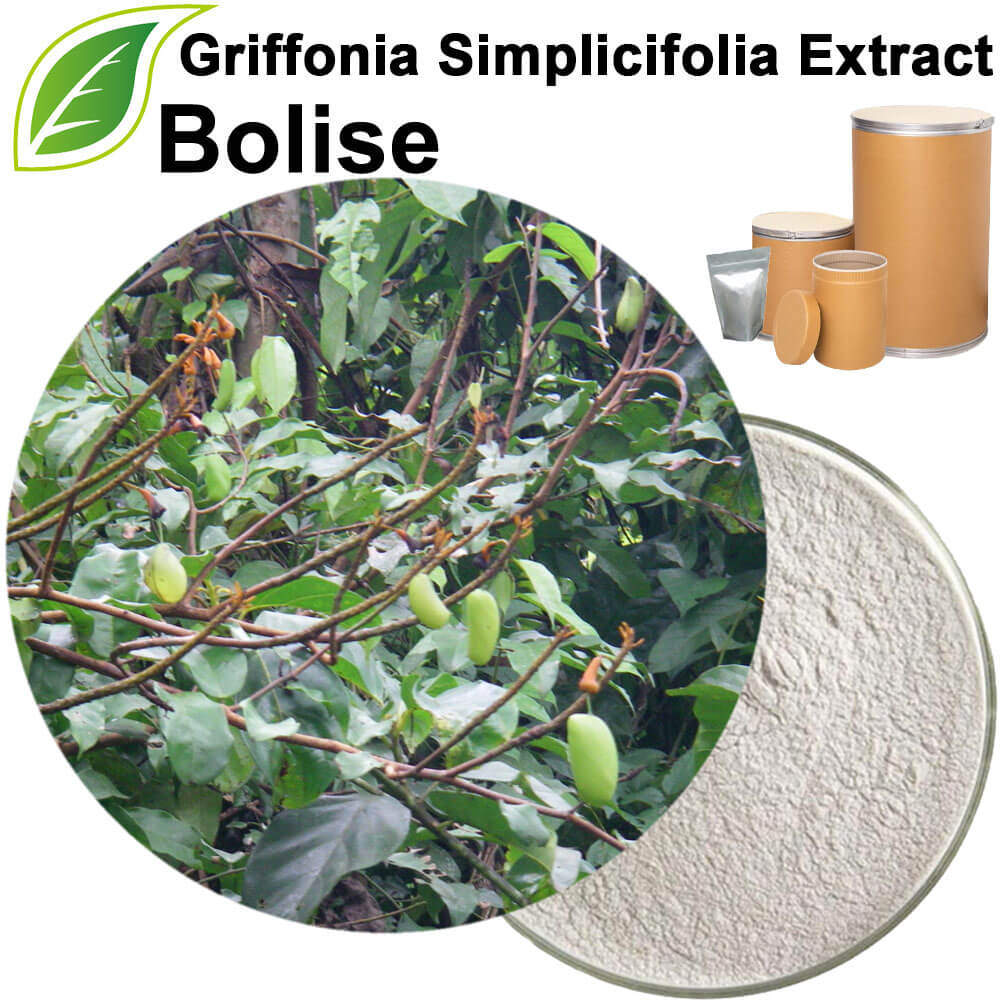 Griffonia Simplicifolia Extract