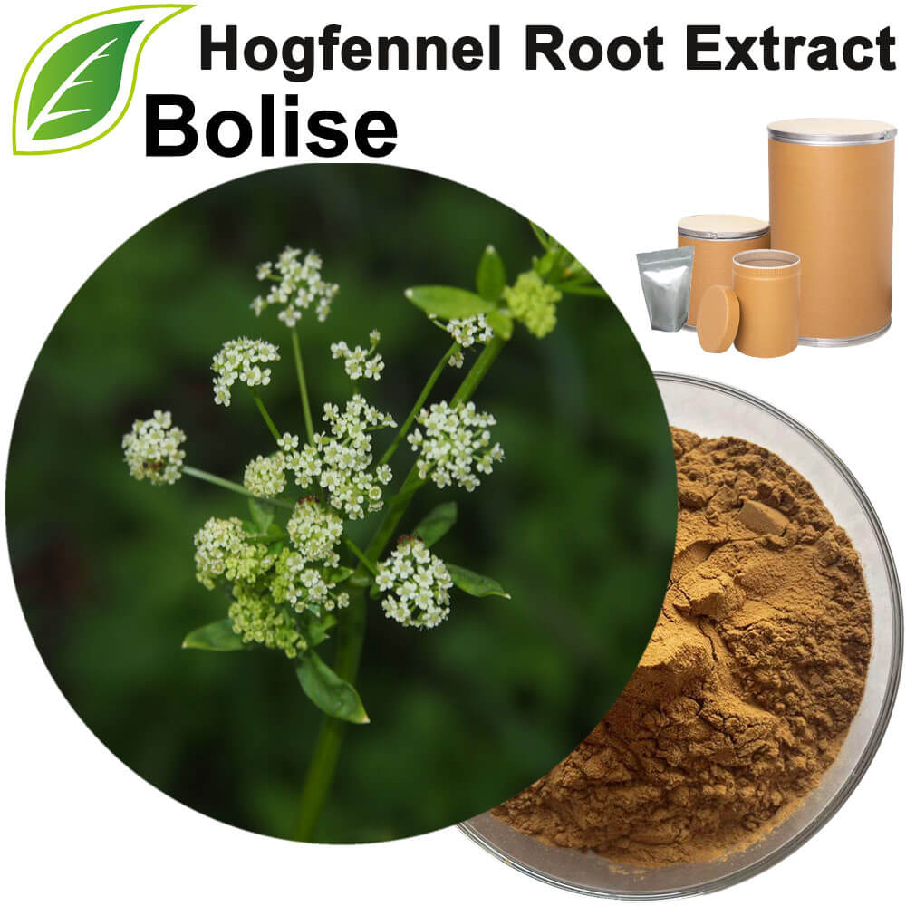 Hogfennel Root Extract(Peucedanum Root Extract)