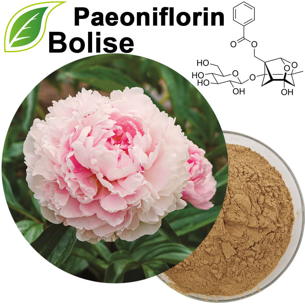 Paeoniflorin