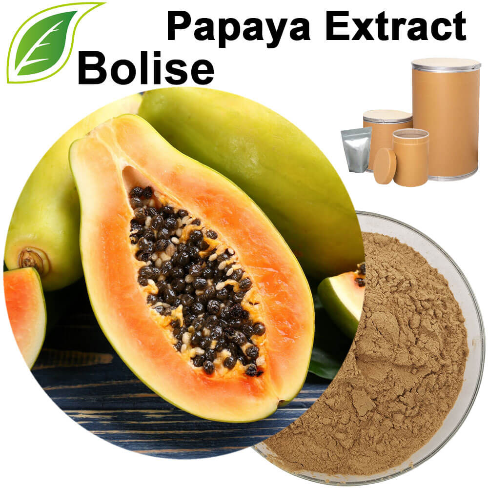 Papaya Extract