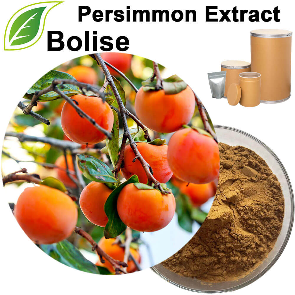 Persimmon Extract