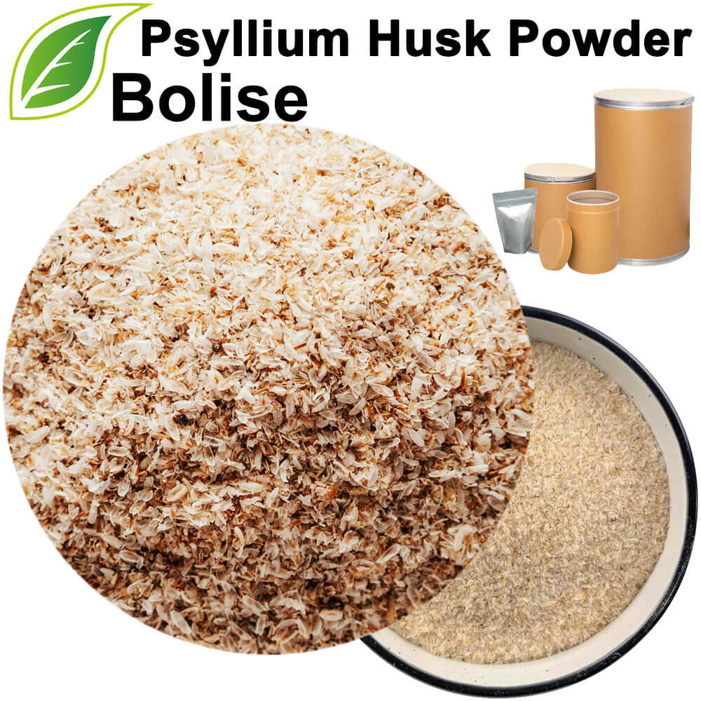 Psyllium Husk Powder