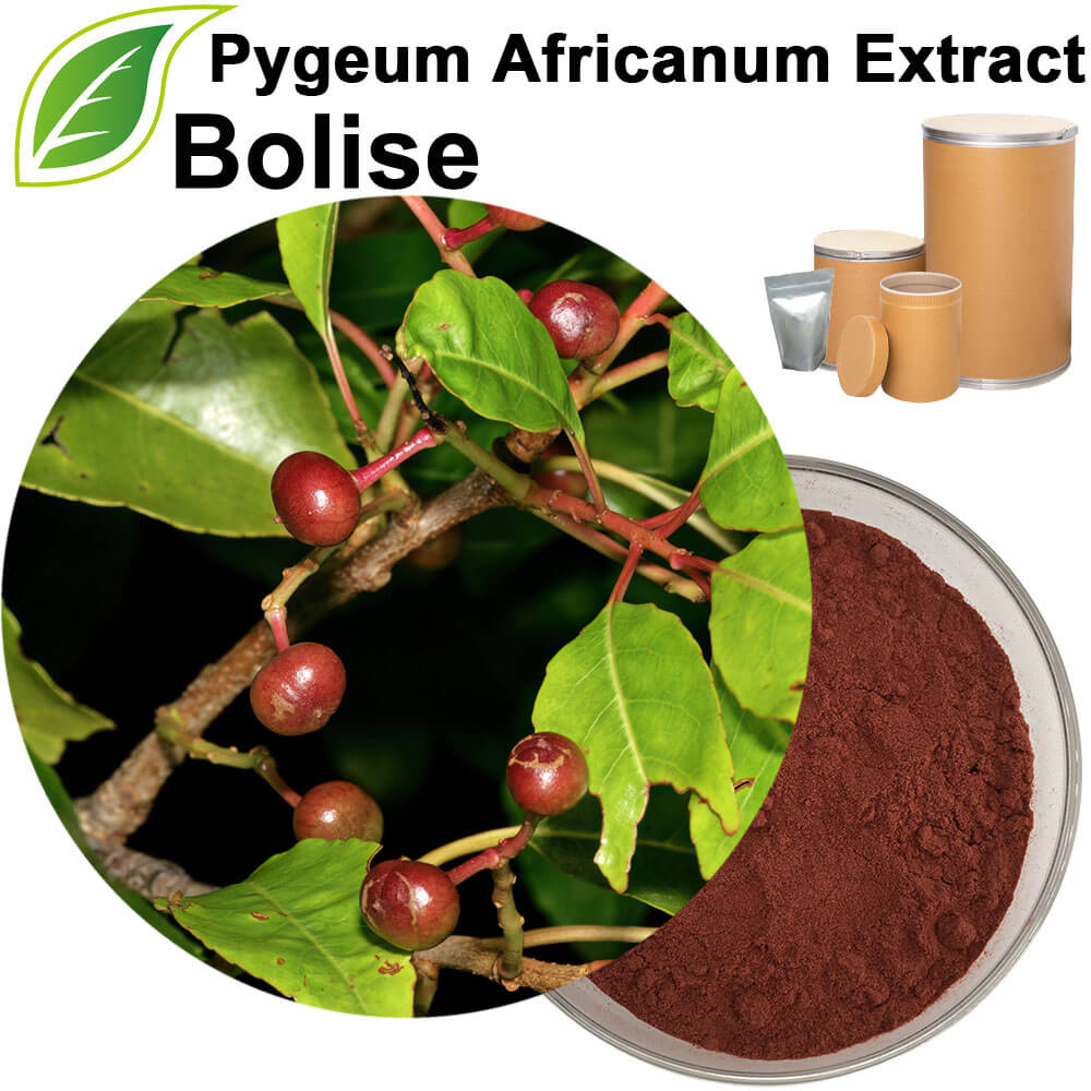 Pygeum Extract(Pygeum Africanum Extract)