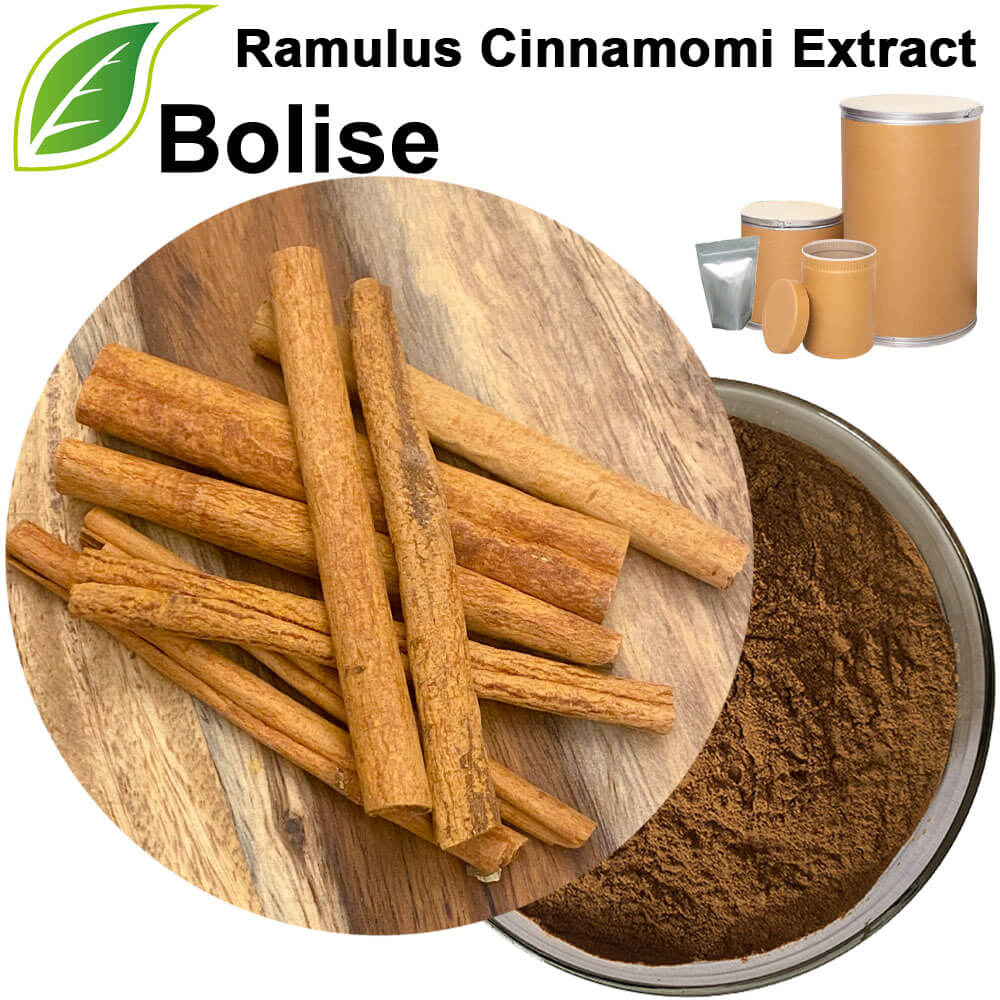 Cassia Twig Extract(Ramulus Cinnamomi Extract)