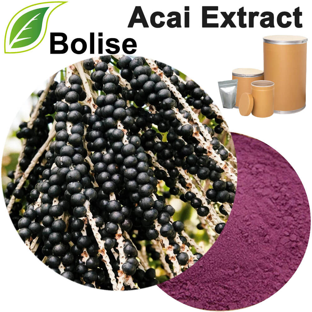 Acai Extract(Brazilian Berry Extract)
