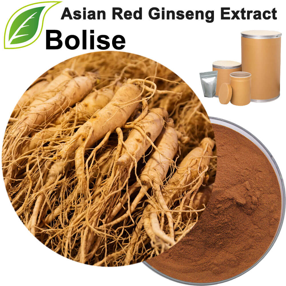 Asian Red Ginseng Extract