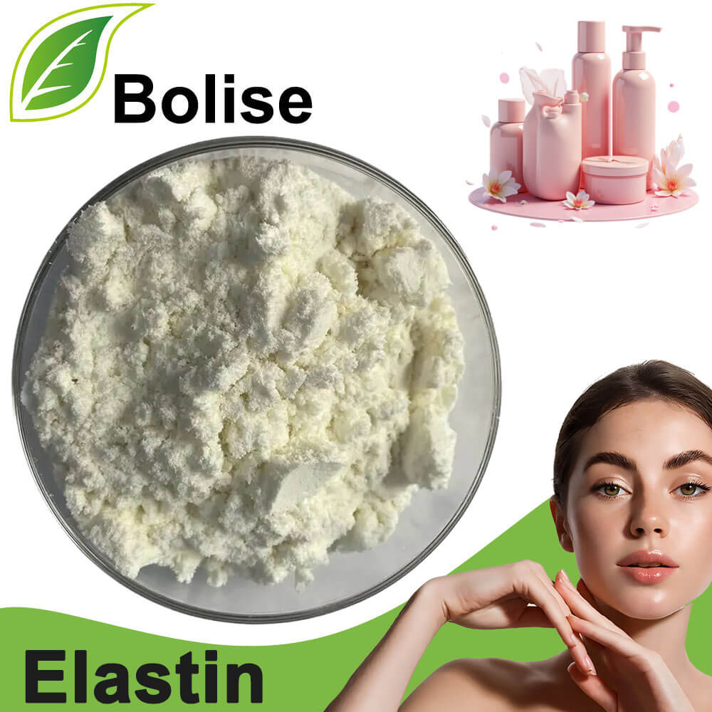 Elastin