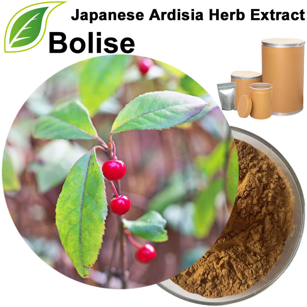 Japanese Ardisia Herb Extract