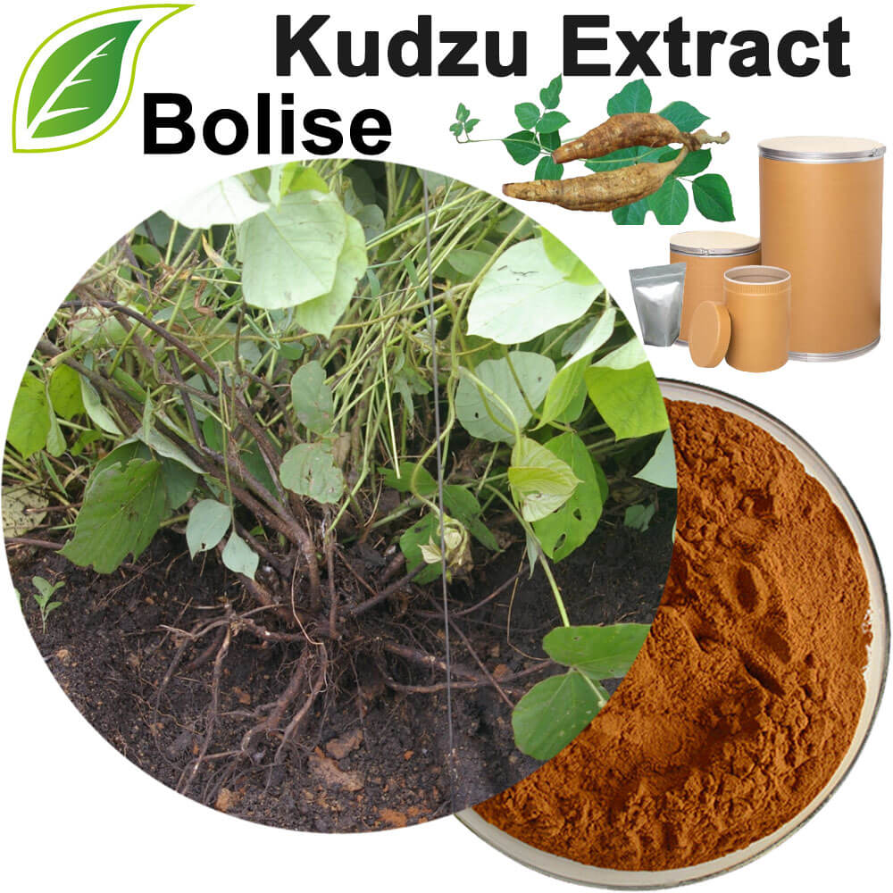 Kudzu Extract(Puerariae Extract)