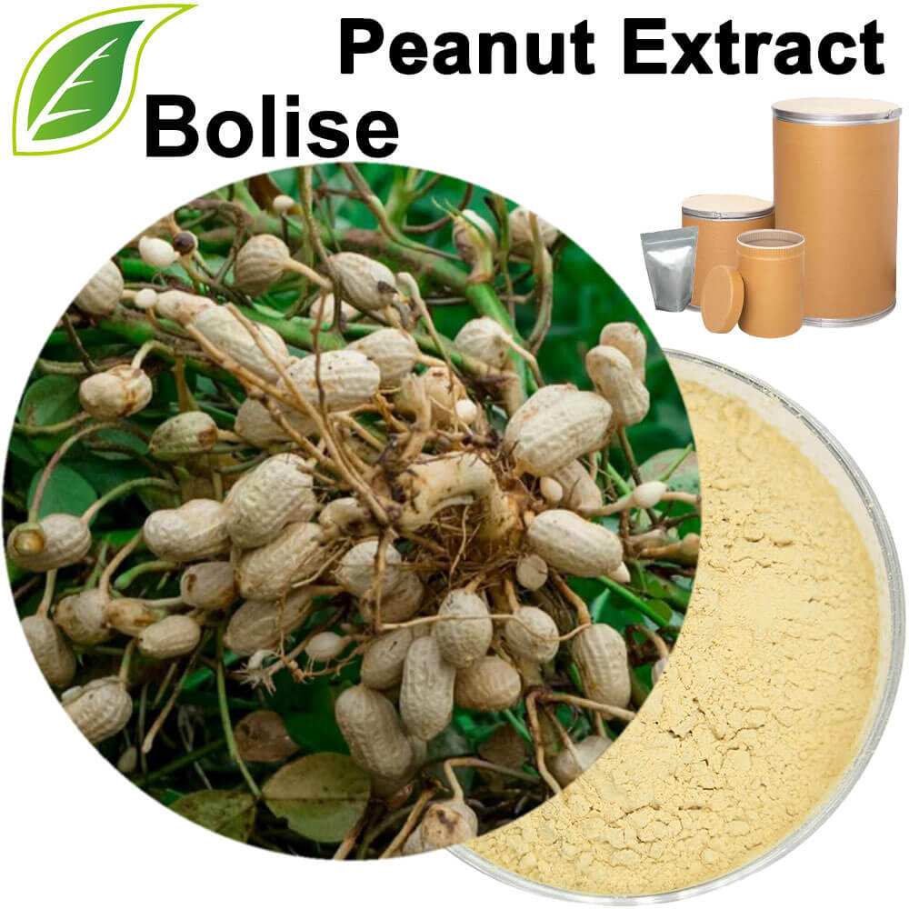 Peanut Extract