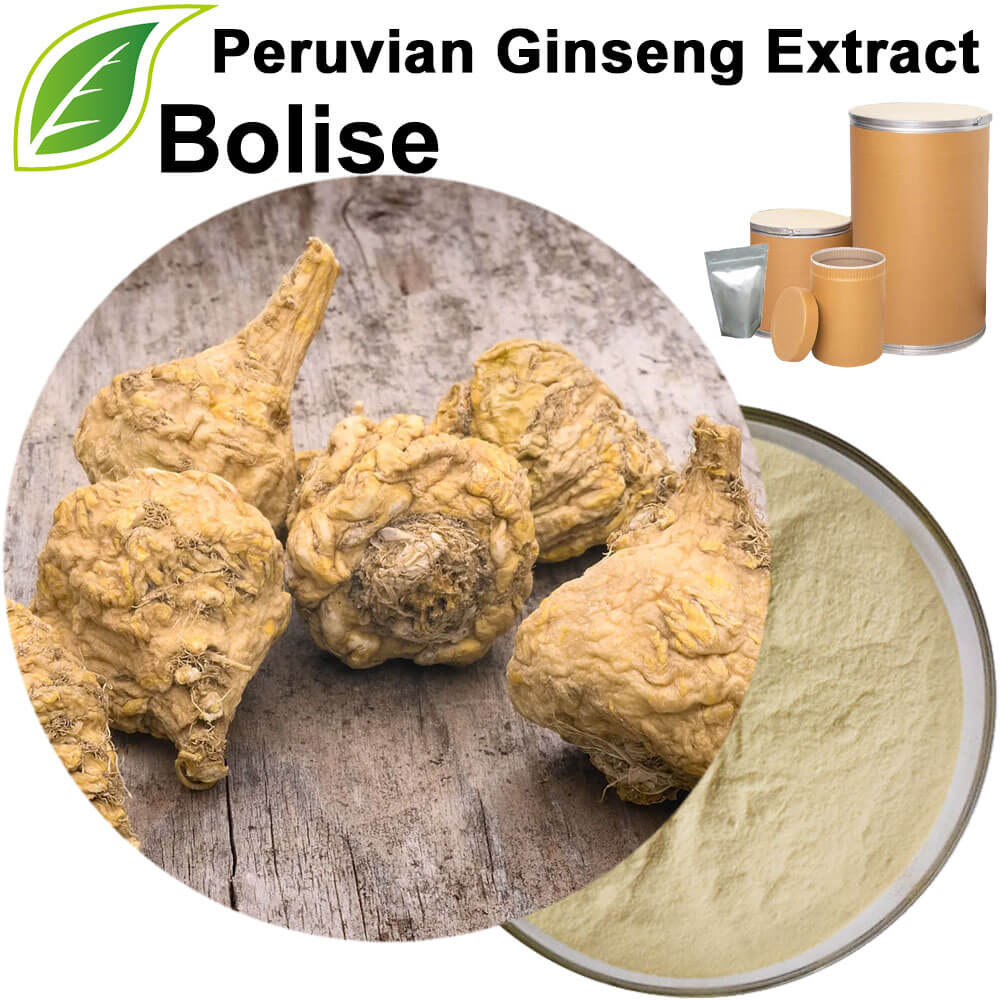 Peruvian Ginseng Extract(Maca Extract)