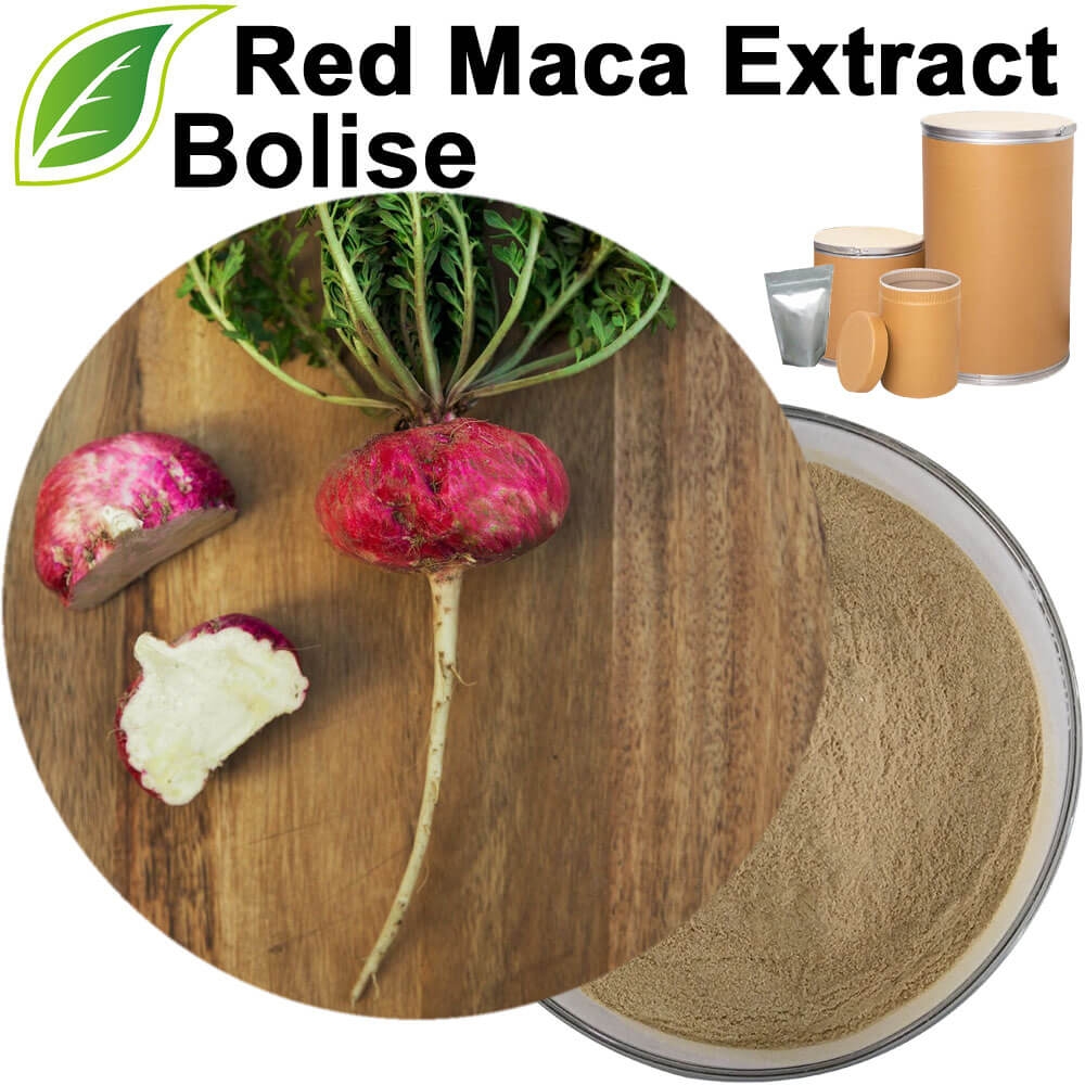 Red Maca Extract