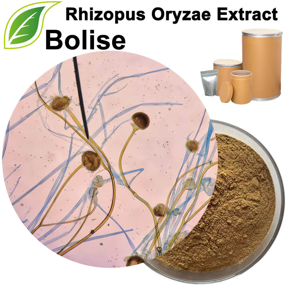 Rhizopus Oryzae Extract