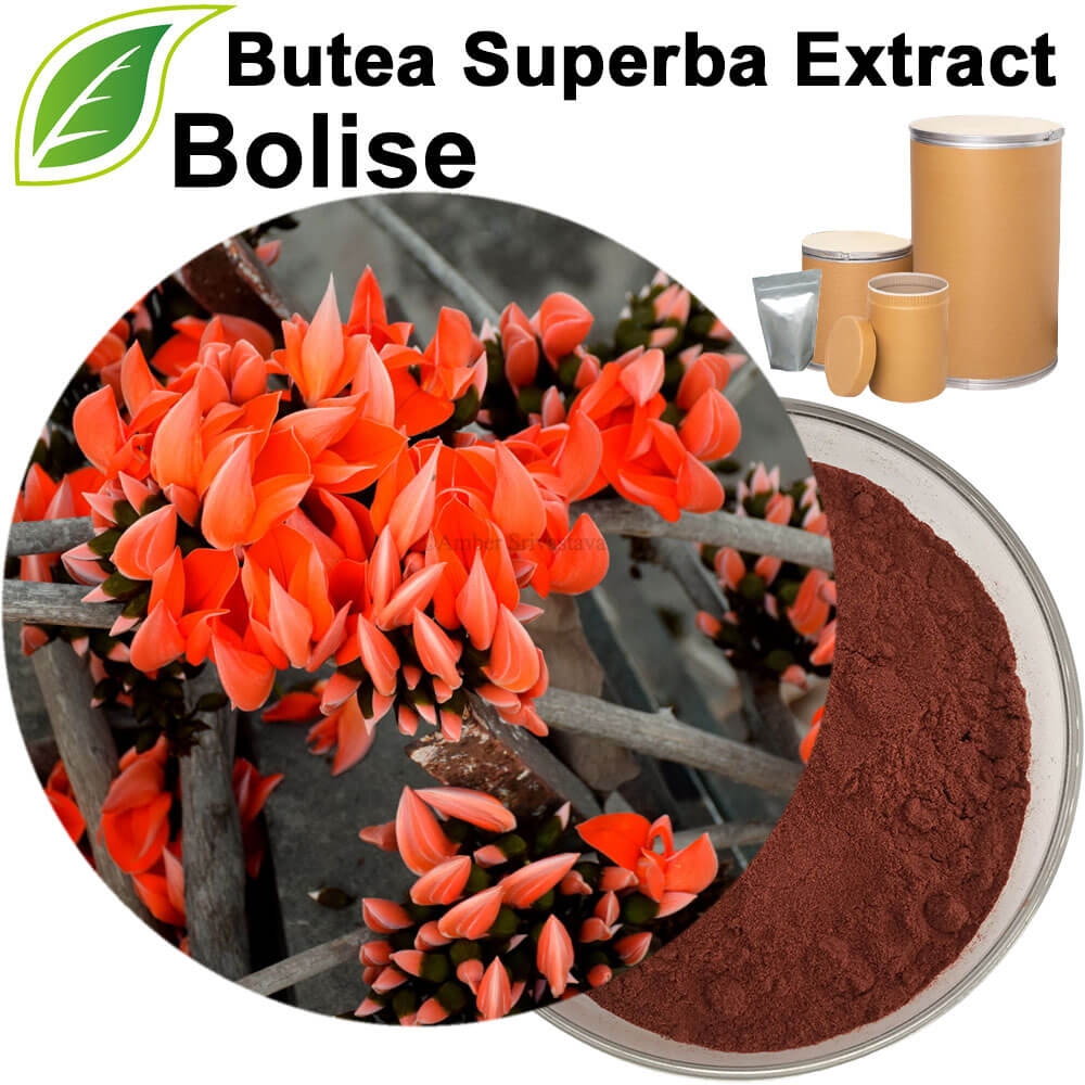 Butea Superba Extract