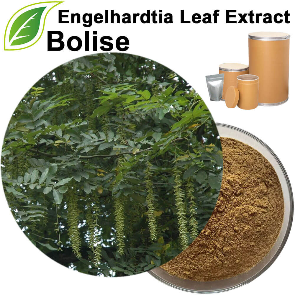 Engelhardtia Leaf Extract(Engelhardtia Chrysolepis Leaf Extract)