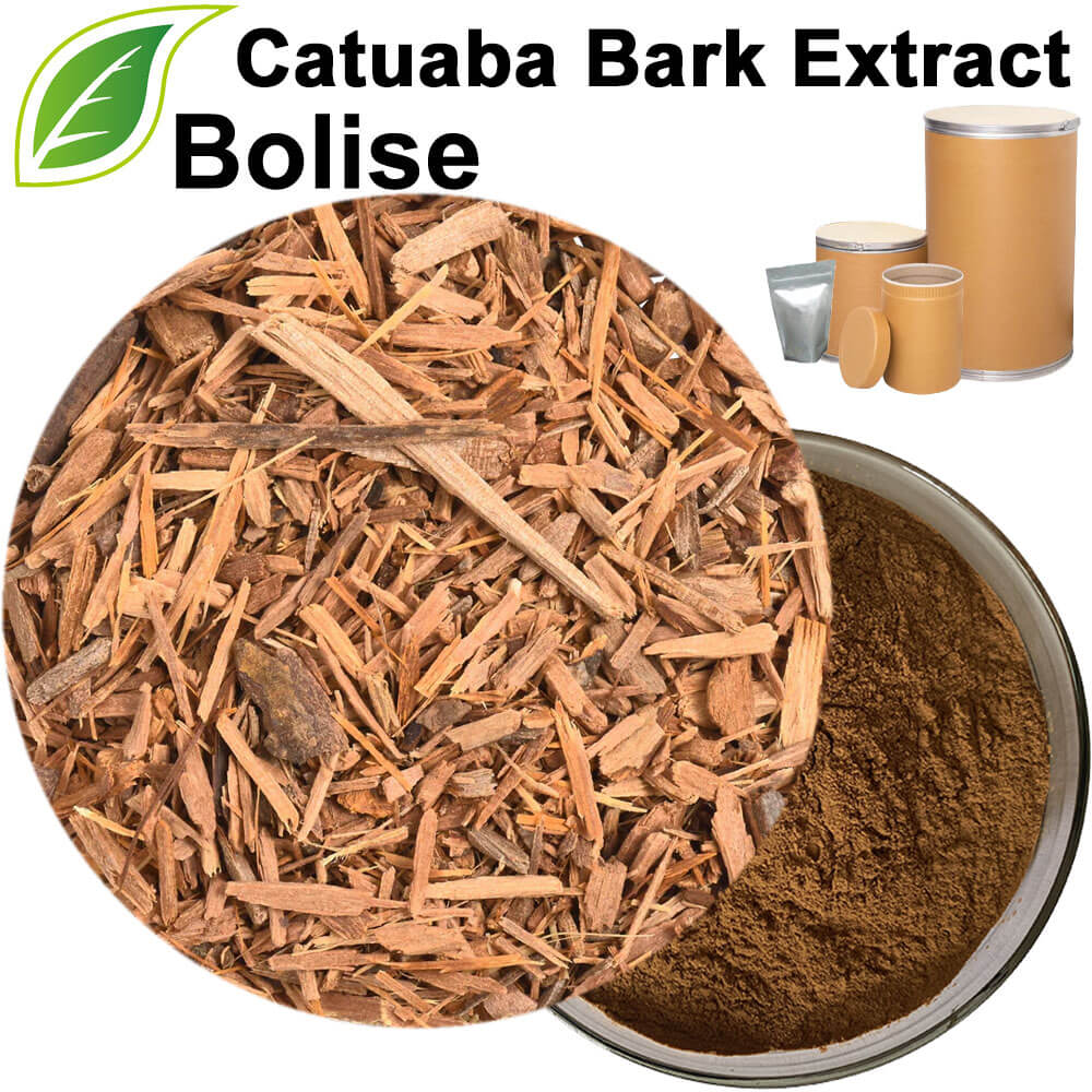 Catuaba Bark Extract
