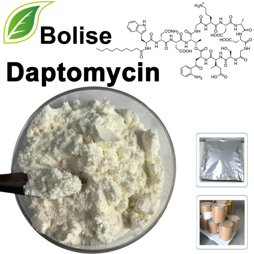 Daptomycin