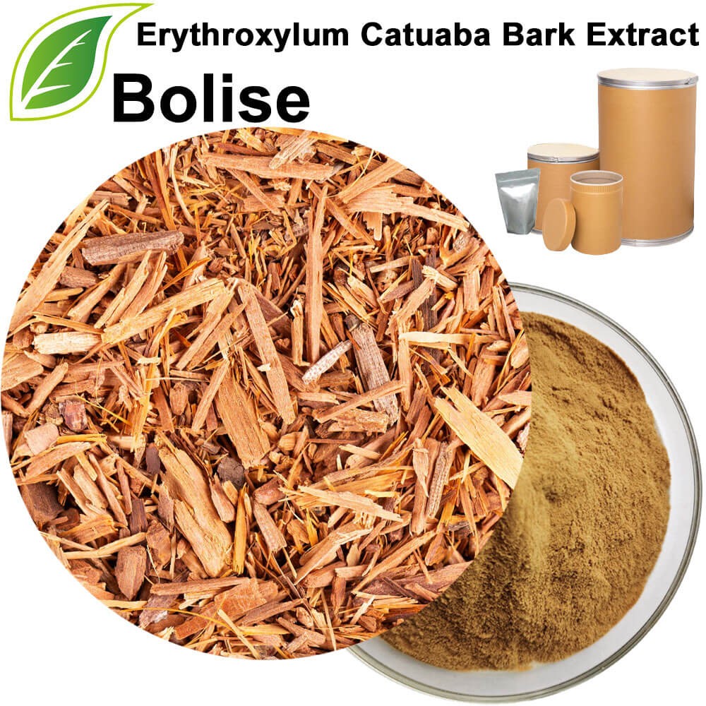 Erythroxylum Catuaba Bark Extract