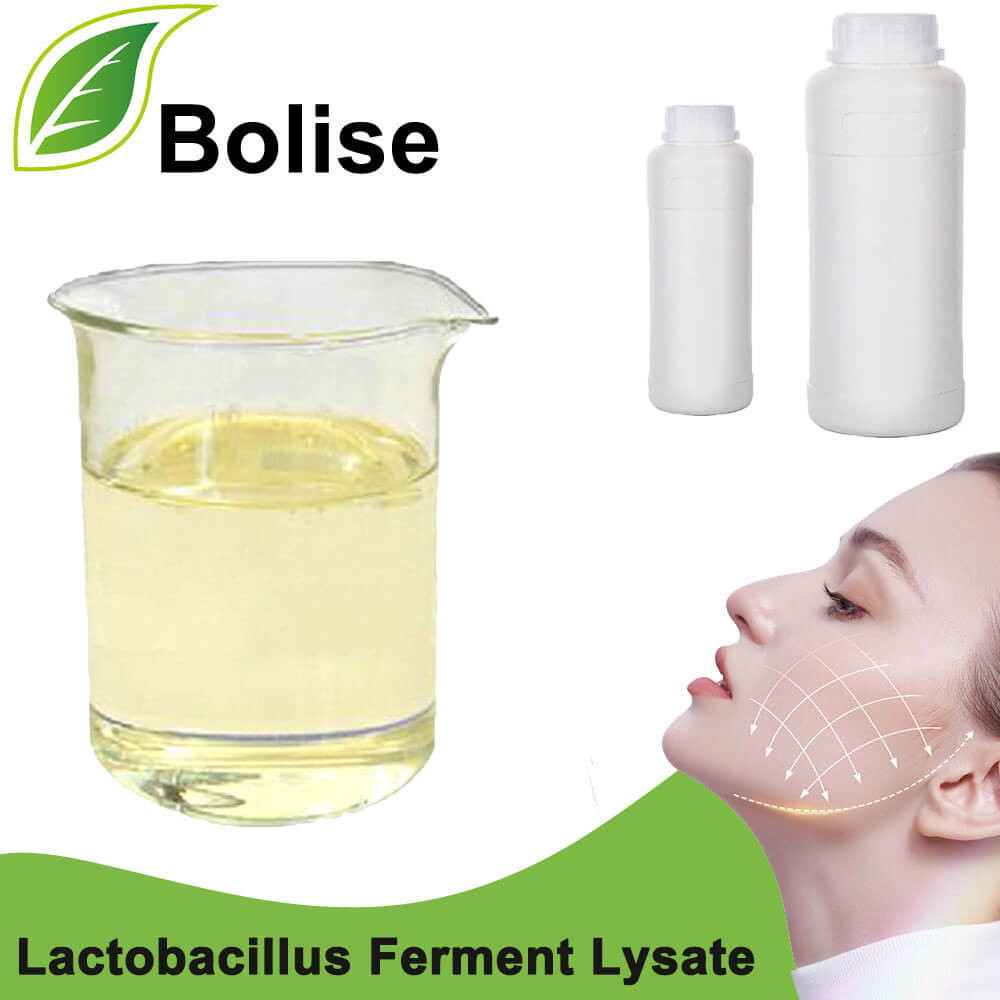 Lactobacillus Ferment Lysate