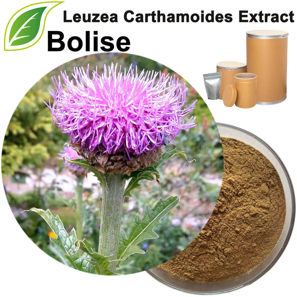 Leuzea Carthamoides Extract