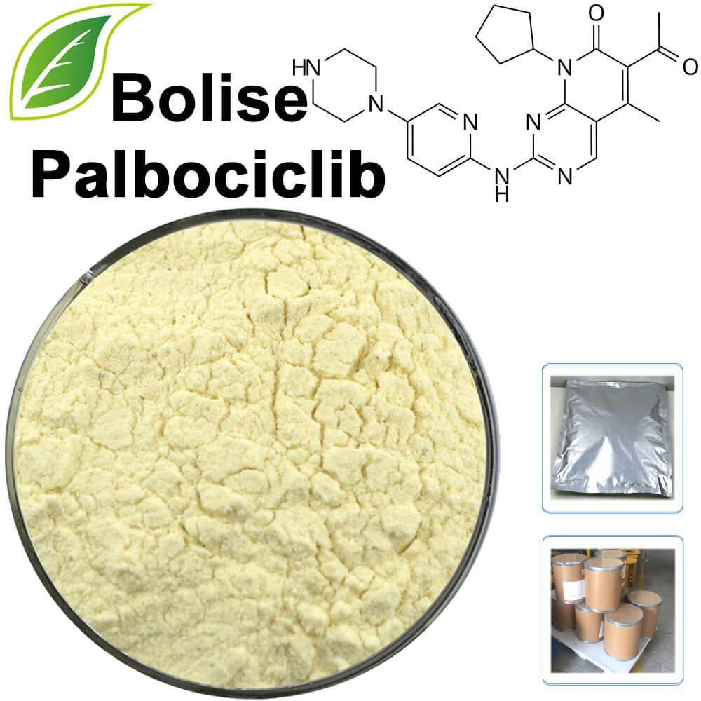 Palbociclib(PD-0332991)